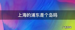 上海的浦东是个岛吗