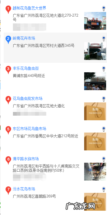 广州哪里有正规狗场 广州哪家狗场买吉娃娃