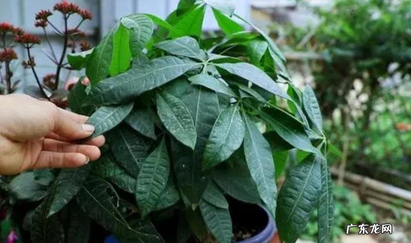 2022年新笔记本电脑到手时一定要注意这些事 怎样开笔记本电脑才是正确的