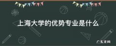 上海大学的优势专业是什么