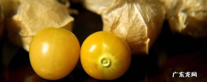 珍珠果怎么吃,珍珠果怎么吃肉