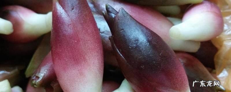 洋藿怎么做才好吃,羊藿的吃法