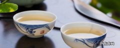 老寿眉是什么茶,老寿眉是什么茶种