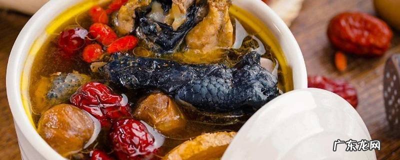 乌鸡怎么做好吃,煮熟的乌鸡怎么做好吃