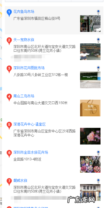 到什么地方买好百合 法斗在什么地方买好