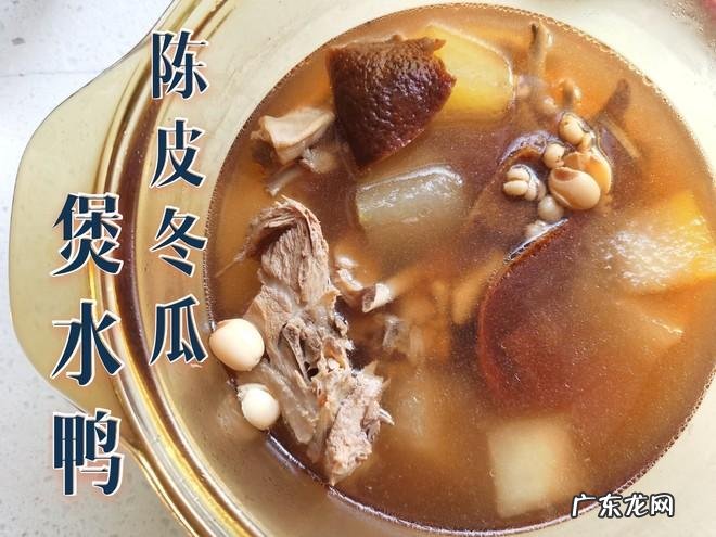 冬瓜炖鸭子怎么做好吃?教你正确做法,香嫩可口,学会不用买着吃了