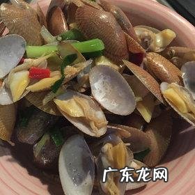 贝壳怎么做才好吃?教你做一道美味贝壳汤,鲜香可口,营养又补钙