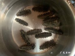 干海参怎么做好吃又简单？学会这3个窍门,鲜嫩爽口有嚼劲!
