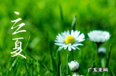 2023年5月6日是什么日子