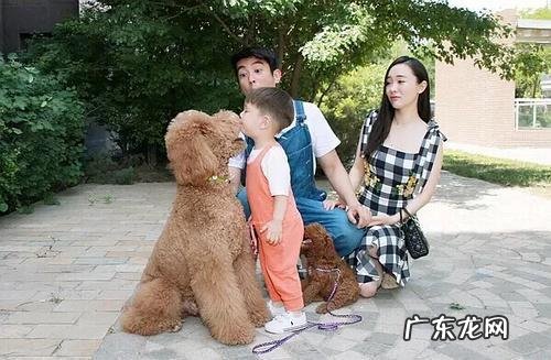 霍思燕狗狗品种 杜江的狗狗是什么狗