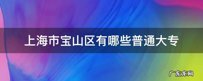 上海市宝山区有哪些普通大专