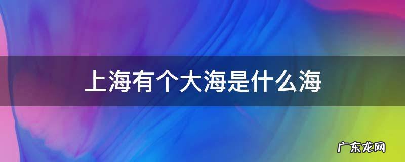 上海有个大海是什么海