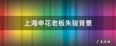 上海申花老板朱骏背景
