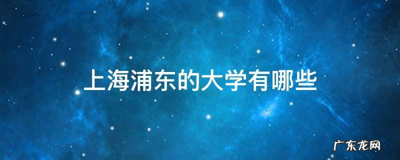 上海浦东的大学有哪些