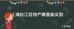 上海松江区特产哪里能买到