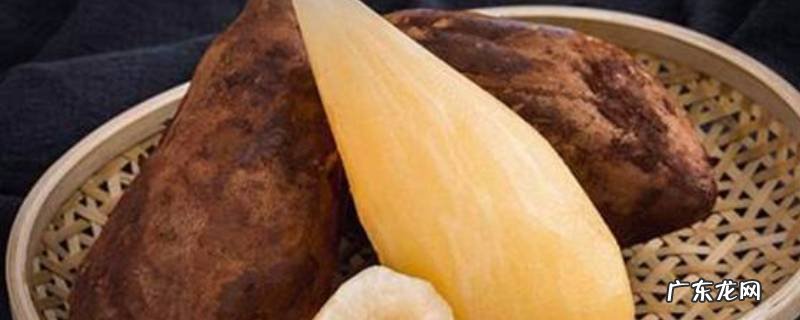 雪莲果保存方法,雪莲果保存方法和时间