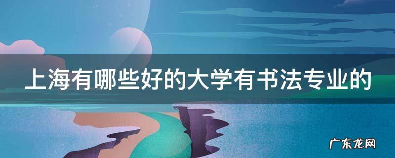 上海有哪些好的大学有书法专业的