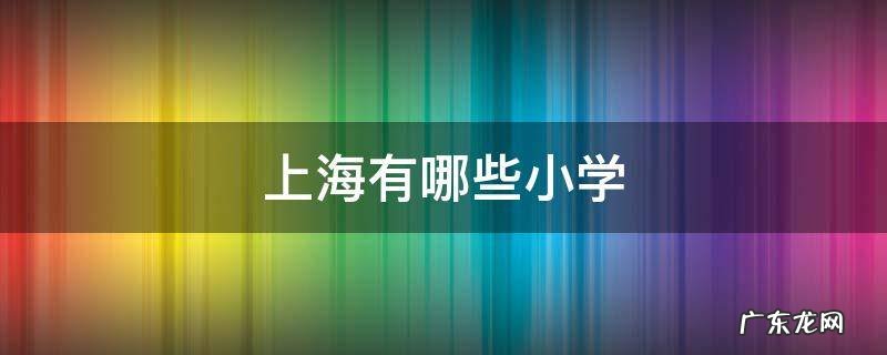 上海有哪些小学