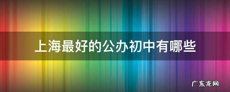 上海最好的公办初中有哪些