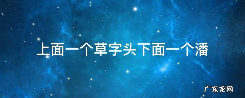 上面一个草字头下面一个潘
