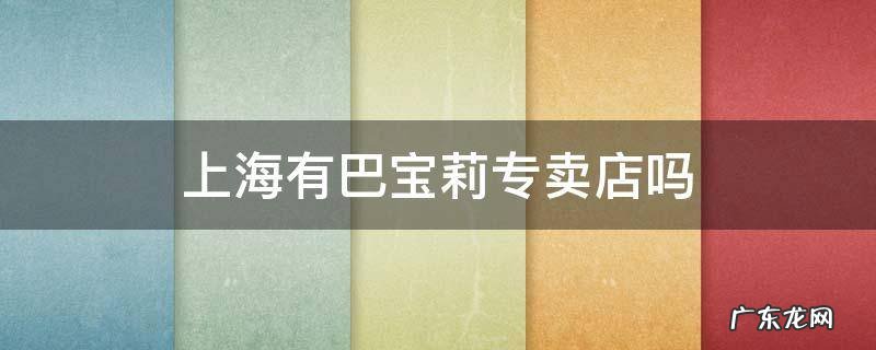 上海有巴宝莉专卖店吗