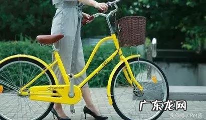 好心将它带回了家 女子用被子包裹狗狗放车篮里遛弯