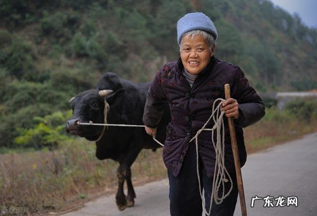 可行吗 专家谈如何大幅提高农村老人养老金