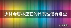 少林寺塔林里面的代表性塔有哪些