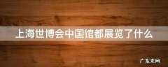 上海世博会中国馆都展览了什么