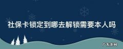社保卡锁定到哪去解锁需要本人吗