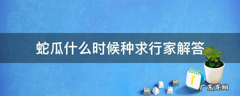 蛇瓜什么时候种求行家解答