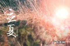 立夏下雨会怎样