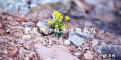 学习机器糖炒板栗视频教程，轻松掌握制作技巧！