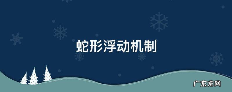 蛇形浮动机制