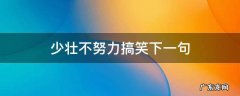 少壮不努力搞笑下一句