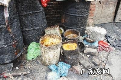 记忆里的哥哥 女子用猪食当洗洁精洗碗被指不卫生