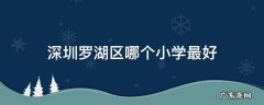 深圳罗湖区哪个小学最好