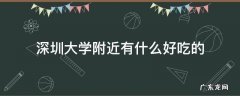 深圳大学附近有什么好吃的