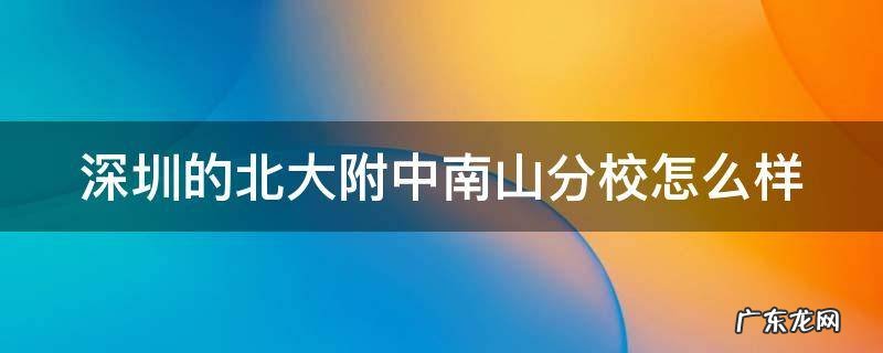 深圳的北大附中南山分校怎么样