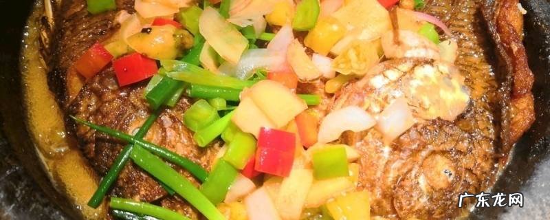 石锅鱼做法,石锅鱼做法和配方视频大全