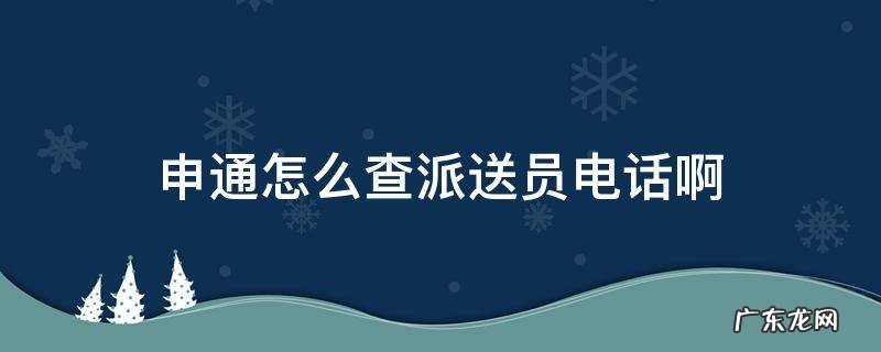 申通怎么查派送员电话啊