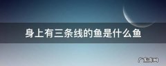 身上有三条线的鱼是什么鱼