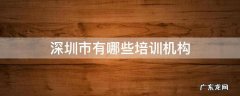 深圳市有哪些培训机构