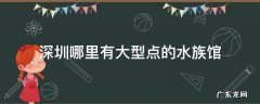 深圳哪里有大型点的水族馆