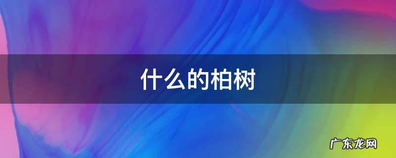 什么的柏树