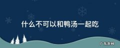 什么不可以和鸭汤一起吃