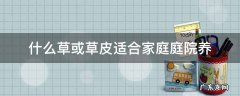 什么草或草皮适合家庭庭院养