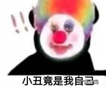 最难伺候的几种狗，它们才是主子！