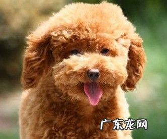 笔记本电脑升级畅玩10年 笔记本电脑一般寿命多长