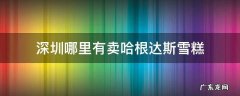 深圳哪里有卖哈根达斯雪糕